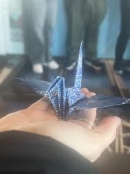 Hiroshima Guided Tour - photo 11