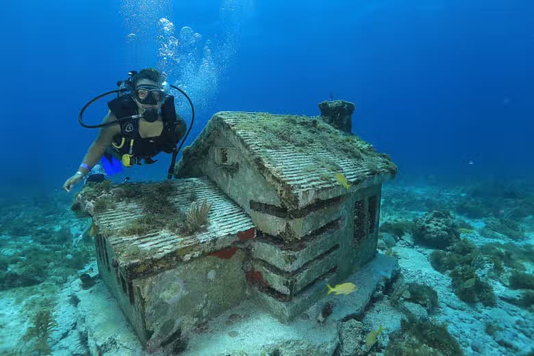 Bautismo de buceo en Cancún - photo 3