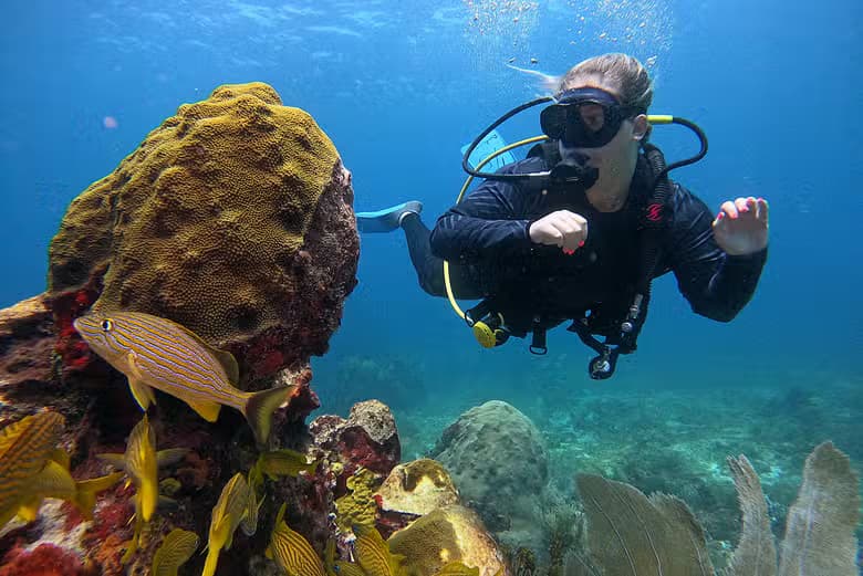 Bautismo de buceo en Cancún - photo 5
