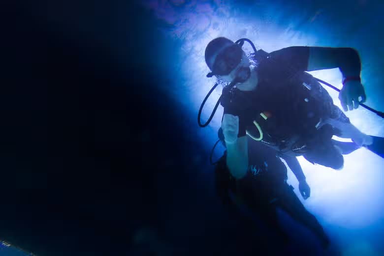 Buceo nocturno en Cancún - photo 8