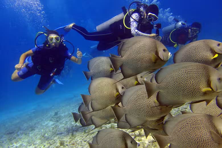 Buceo en el MUSA - photo 2