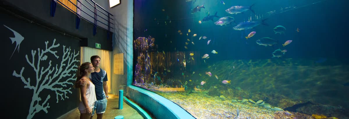 Entrada al Acuario Interactivo de Cancún - photo 1