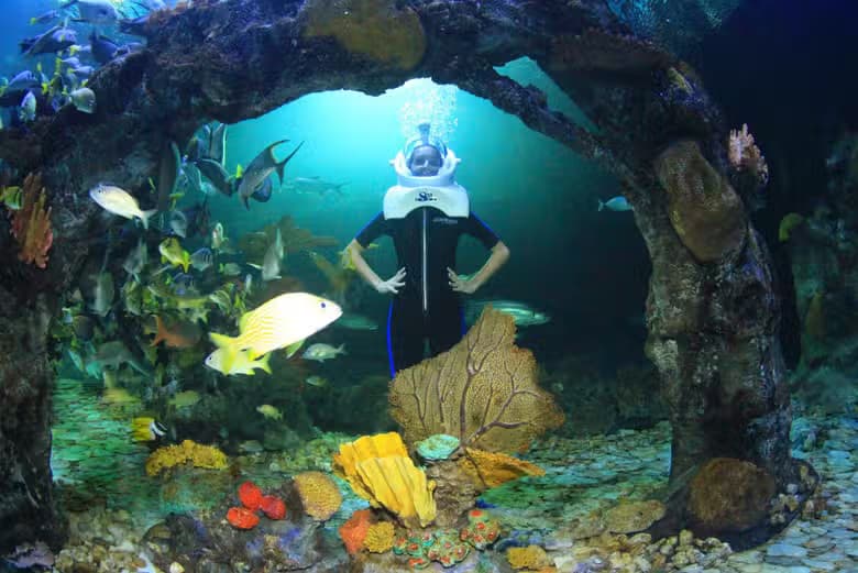 Entrada al Acuario Interactivo de Cancún - photo 7