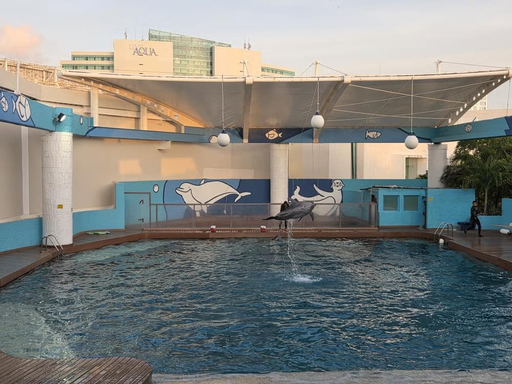 Entrada al Acuario Interactivo de Cancún - photo 12