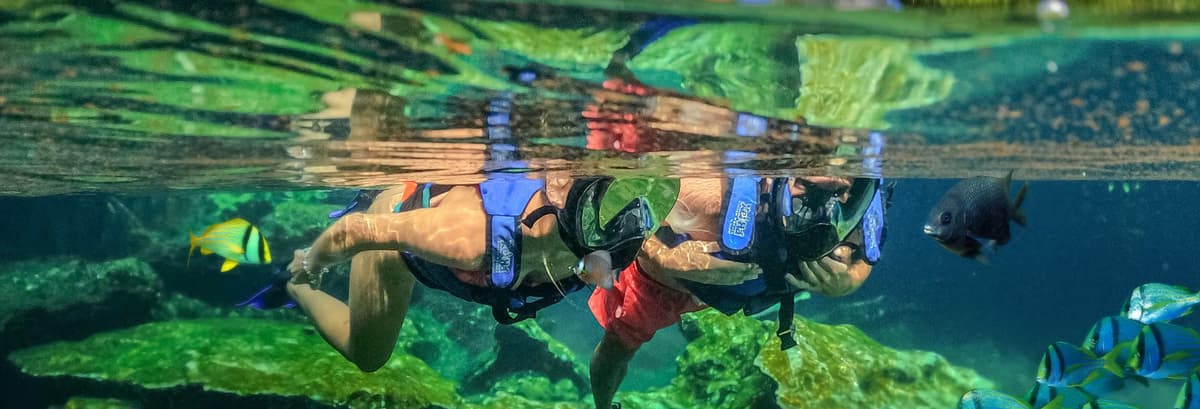 Excursión a Xel-Há - photo 1