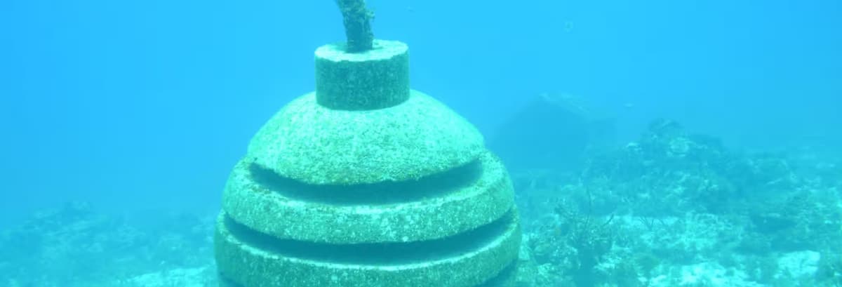 Paseo en barco con fondo de cristal - photo 1