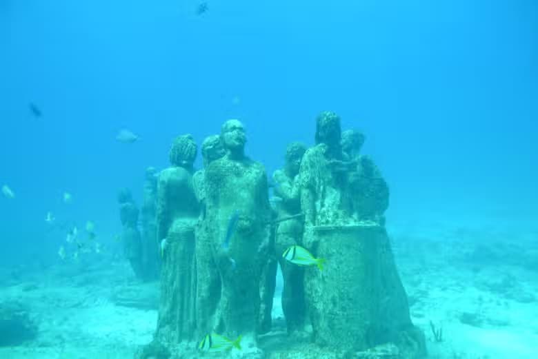 Paseo en barco con fondo de cristal - photo 4