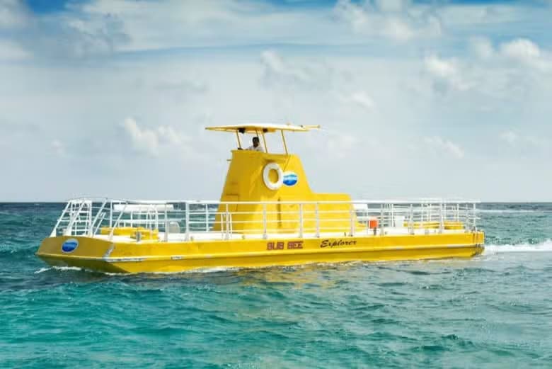 Paseo en barco con fondo de cristal - photo 8