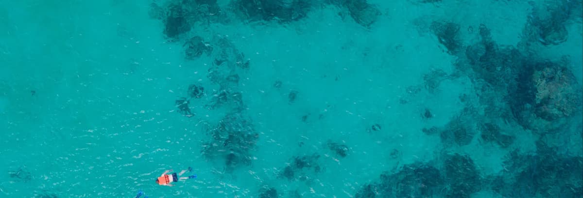 Snorkel en Cancún - photo 1