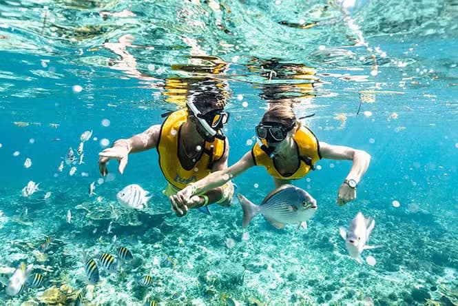 Snorkel en Cancún - photo 7