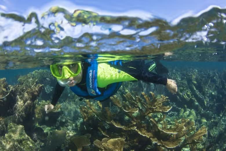 Snorkel en el MUSA - photo 4