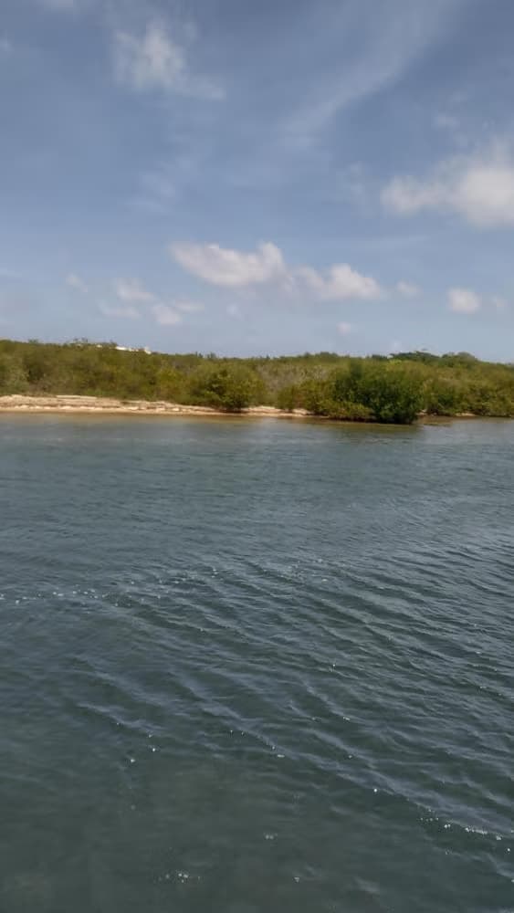 Snorkel en el MUSA - photo 11