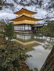 Nara, Kinkakuji & Arashiyama Day Trip - photo 14