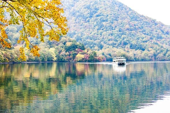 Nikko All Area Pass - photo 1