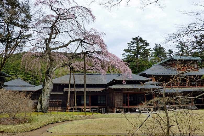 Nikko All Area Pass - photo 7