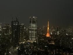 Roppongi Hills Mori Tower Ticket - photo 9