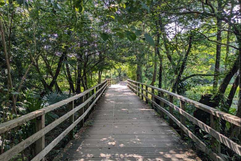 Shakujii Park Guided Tour - photo 1