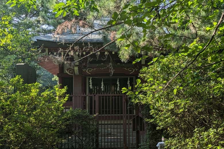 Shakujii Park Guided Tour - photo 3