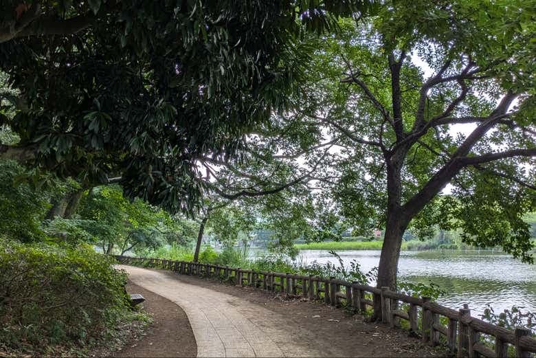 Shakujii Park Guided Tour - photo 4