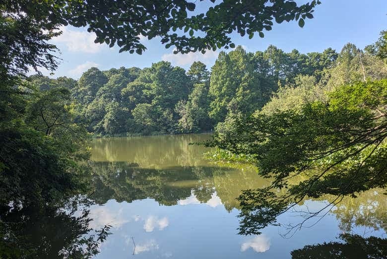 Shakujii Park Guided Tour - photo 10