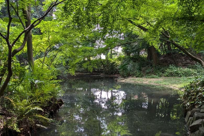 Shakujii Park Guided Tour - photo 11