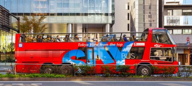 Tokyo Hop-On Hop-Off Bus - photo 2