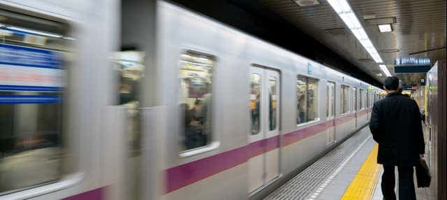 Tokyo Metro Pass - photo 2