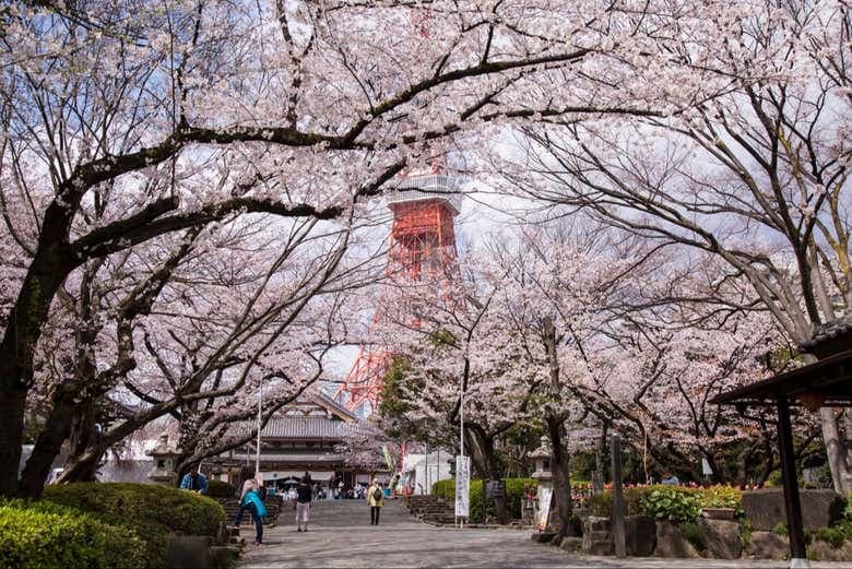 Tokyo Tower Observation Deck Tickets - photo 8