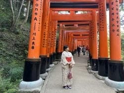 Traditional Kimono Rental - photo 6