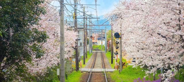 Haruka Express Train Between Kansai Airport and Kyoto or Osaka - photo 1