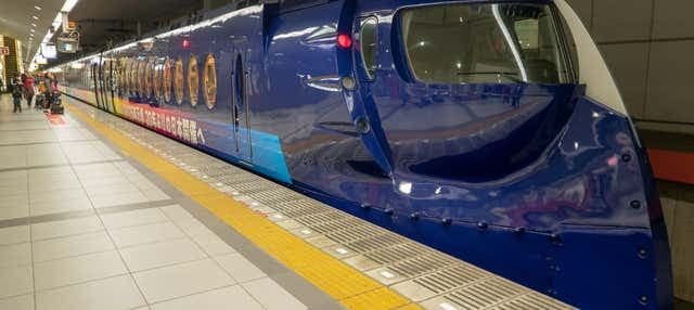 Nankai Rapit Airport Express Ticket - photo 2