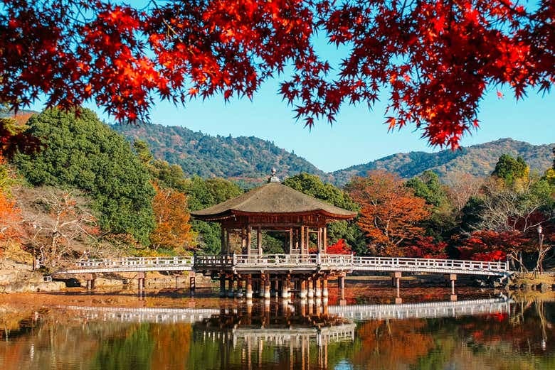 Nara & Uji Day Trip - photo 5