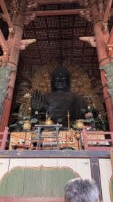 Nara & Uji Day Trip - photo 12