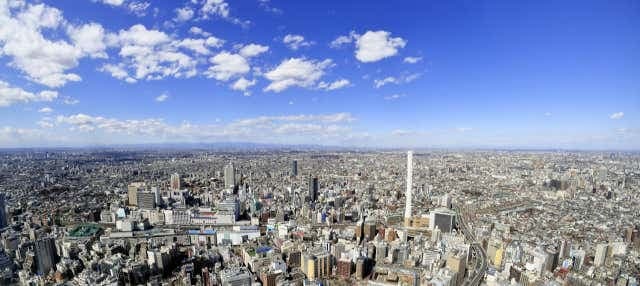 Sunshine 60 Observatory Tenbou Park Tickets - photo 1