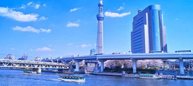 Tokyo River Cruise - photo 1